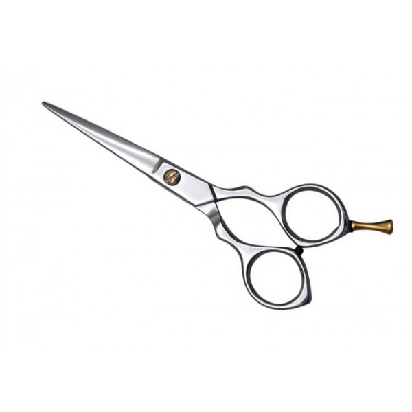Barber Scissors